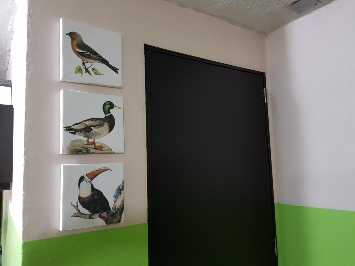Hermoso Departamento En Texcoco Centro Con Wifi Cocina Texcoco de Mora 外观 照片